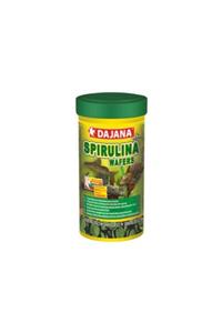 Dajana Mini Spirulina Wafers Akvaryum Balık Yemi 250 Ml 130 Gr