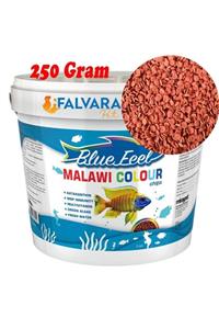 Blue Feel 250 Gram Malawi Colour Chips (2 Mm) Balık Yemi