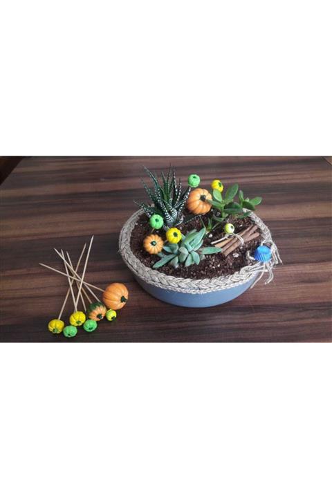 HThome Saksı Ve Bahçe Minyatür Süsleme 7'li Kabak Seti