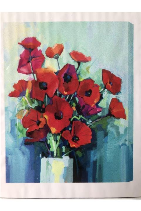 Rubenis Boyama Seti Gelincik Resimli Sayılarla 30x40 Cm