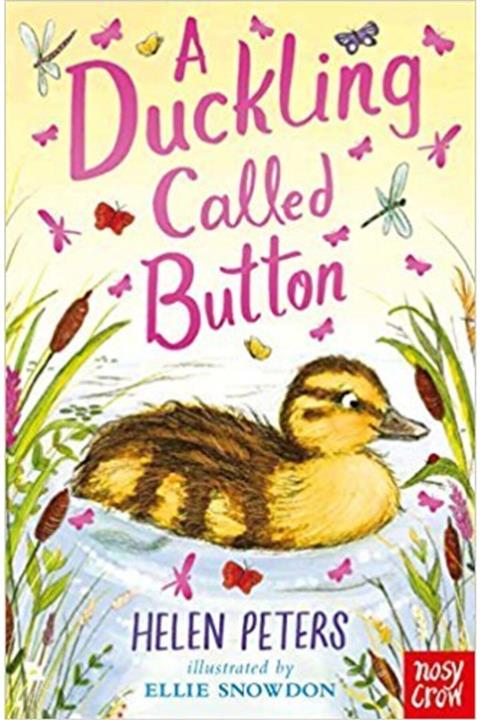 Nosy Crow A Duckling Called Button
