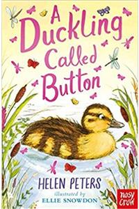 Nosy Crow A Duckling Called Button