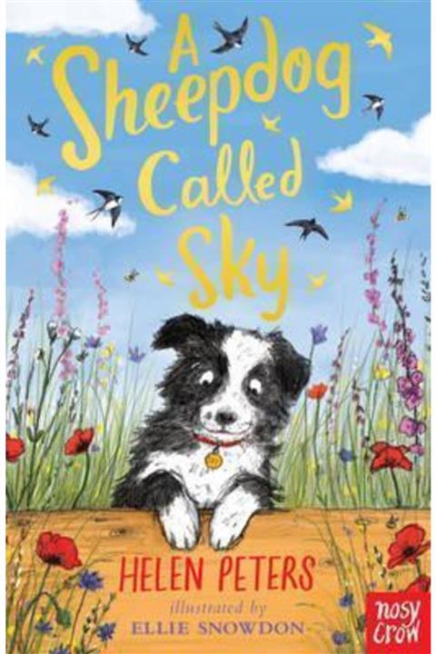 Nosy Crow A Sheepdog Called Sky