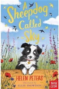 Nosy Crow A Sheepdog Called Sky