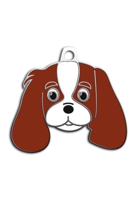 altın pati Cavalier King Charles Köpek Künyesi