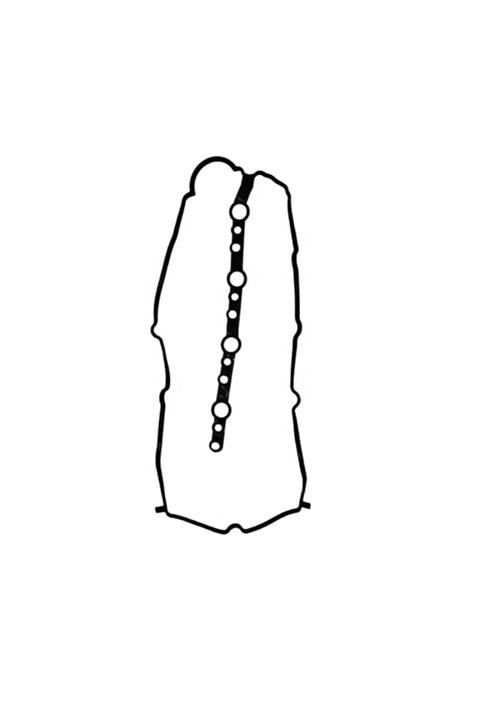 Stone Toyota Hilux Gun135 Gun125 Gun136 Üst Kapak Contası 2015 Ve Üstü Yıllar 11213-0e010