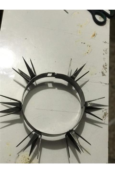 TERCİH Köpek Tortu Tasma