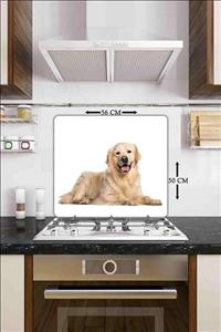 Saban Golden Retriever Cam Ocak Koruyucu ve Cam Kesme Tahtası 50 cm X 56 cm Tek Parça