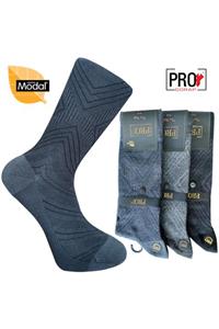 Pro Çorap 18136-2 Jambu Micro Modal Erkek Çorabı No: 41-44