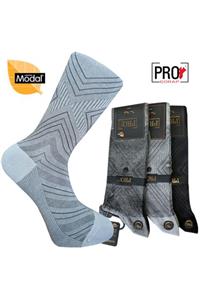 Pro Çorap 18136-3 Jambu Micro Modal Erkek Çorabı No: 41-44