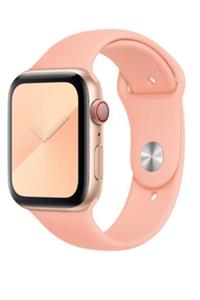 Carneil Kadın Pembe Apple Watch Seri 2,3,4,5 Uyumlu  Silikon Kordon Kayış 44 mm 5645sk