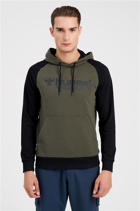 HUMMEL Erkek Spor Sweatshirt - Hmlregow Hoodie