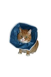 Kruuse Buster Kedi Yakalığı