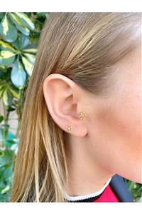 TAKIKRALI Kar Tanesi Gold Tragus/helix/kıkırdak Piercing