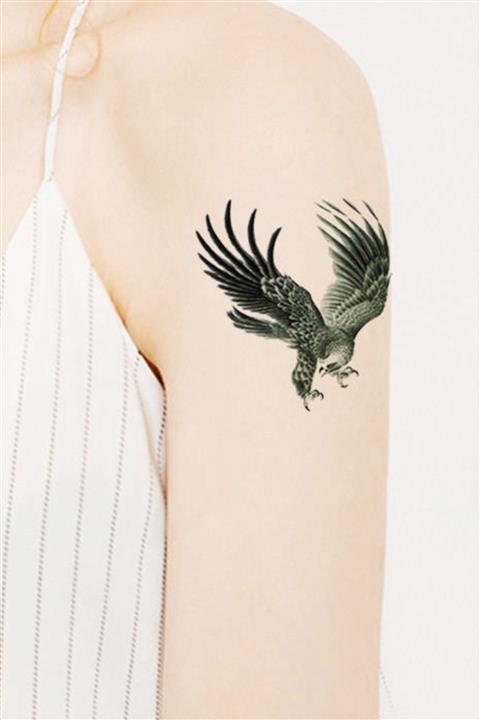 BP Tattoo Kara Kartal Tattoo Geçici Dövme