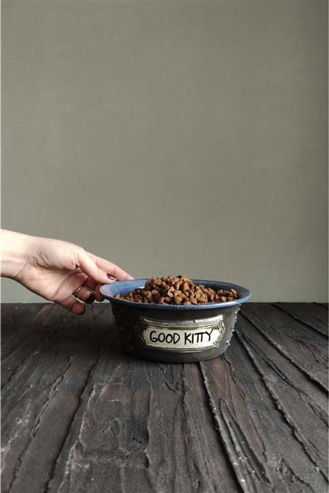 İyu Seramik “good Kitty” Büyük Boy Porselen Kedi Mama Kabı