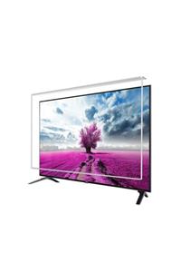 Etiasglass Vestel 49UB9100 Uyumlu Tv Ekran Koruyucu