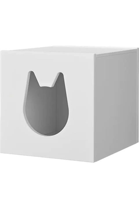 algnydgr Beyaz Kedi Evi