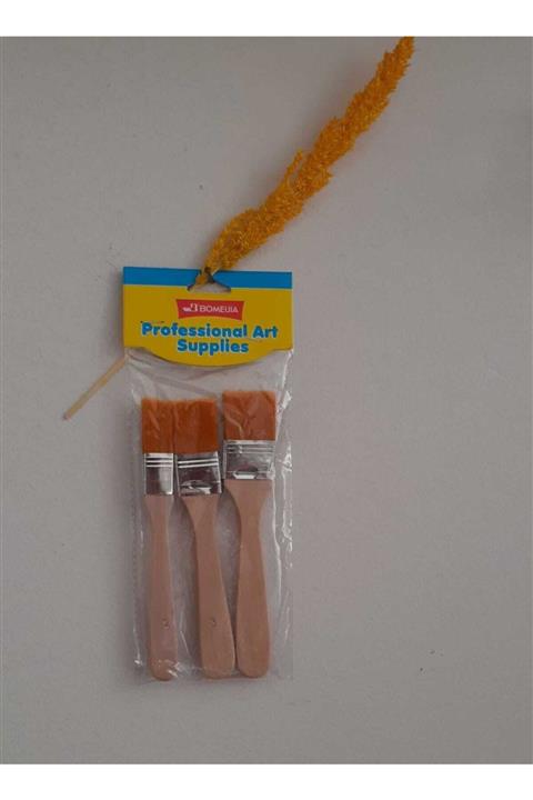 Bomeıjıa Zemin Fırçası 3'lü Set