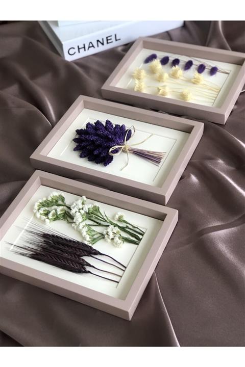 florbar Kuru Çiçekli 3 Lü Çerçeve Tablo Seti-hediye Set