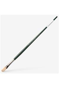 Winsor Newton Winsor & Newton : Winton : Uzun Sap Yassı Fırça No : 6