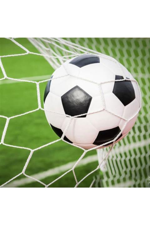 Güçlü File - Nizami Petek Kale Filesi Ağı - 3.5mm - 1 Çift