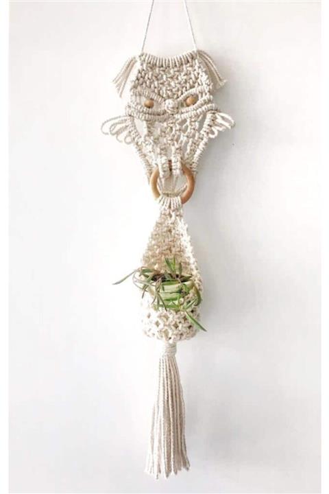 ankadizayn Natural Baykuş Model Saksılık
