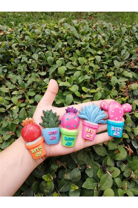 eylül garden atölye Kaktüslü Magnet Set-5'li
