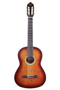 VALENCIA Vc204csb Klasik Gitar 4/4 Mat +kılıf+pena