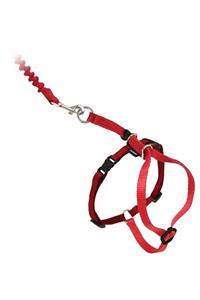 PetSafe Easy Walk Cat Harness Kedi Gezinti Tasması Kırmızı Small ( 23 - 28 Cm )