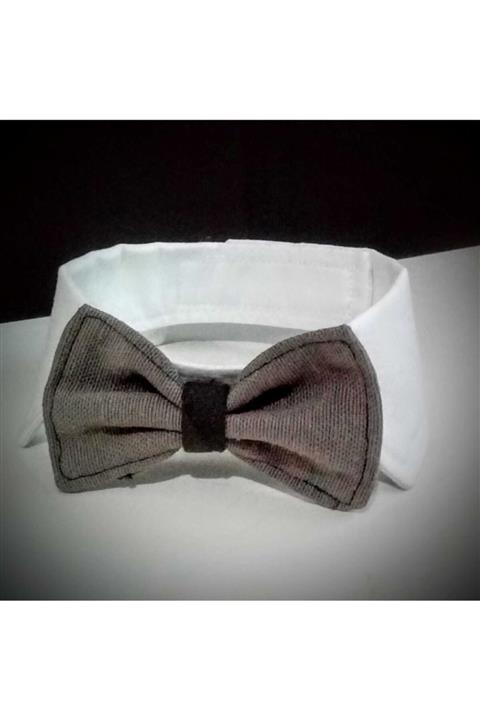 Tasarım Kumpanyası Kedi Papyonu,gri Kedi Papyonu