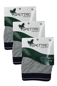 Spettro Erkek Gri Cotton Slip 3'lü