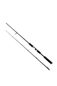 DAIWA Saltıst Ags 2.44m 14-42gr 2p Kamış