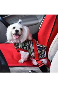 epazzar Emniyet Kemerine Takılabilen Kedi Ve Köpek Emniyet Kemeri