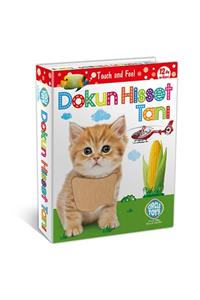 Circle Toys Dokun Hisset Tanı