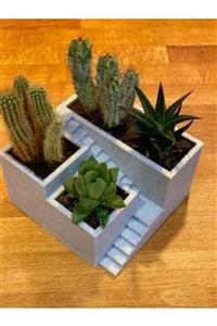 shacodesign Modern Tasarım Saksı