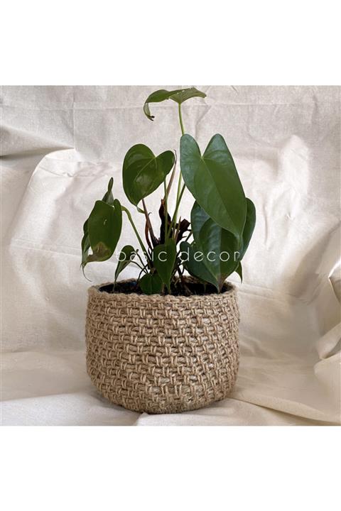 Basic Decor Hasır Jüt Saksılık / Sepet