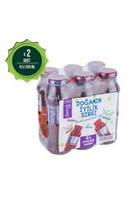 Torku Detox Sirkeli Üzümlü Içecek 6x250 Ml X2