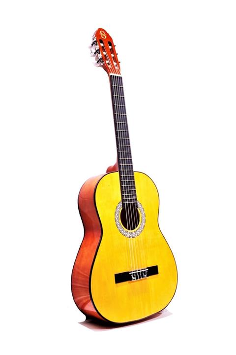 kabil müzik Klasik Gitar 4/4 Tam Boy Kılıf Ve Penalı Silverio-53