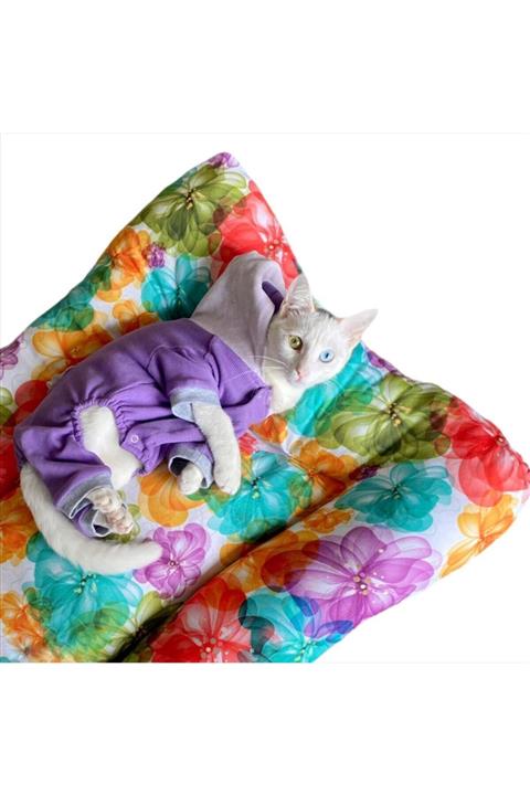 Kemique Kedi Minderi Kedi Yatağı