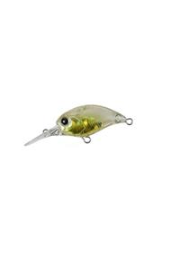 Duo Tetra Works Kurakura Dhh0156 Gold Fish