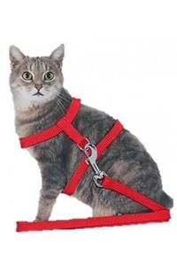 Badem Akvaryum Kedi Köpek Gezdirme Göğüs Tasması Bel Tasması Ayarlanabilir