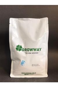 GROWWAY Asıst 20+20+20 Te Dengeli Yaprak Gübresi 400lt Su İçin