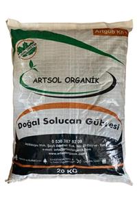 Artsol Organik Organik Katı Solucan Gübresi 20 Kg