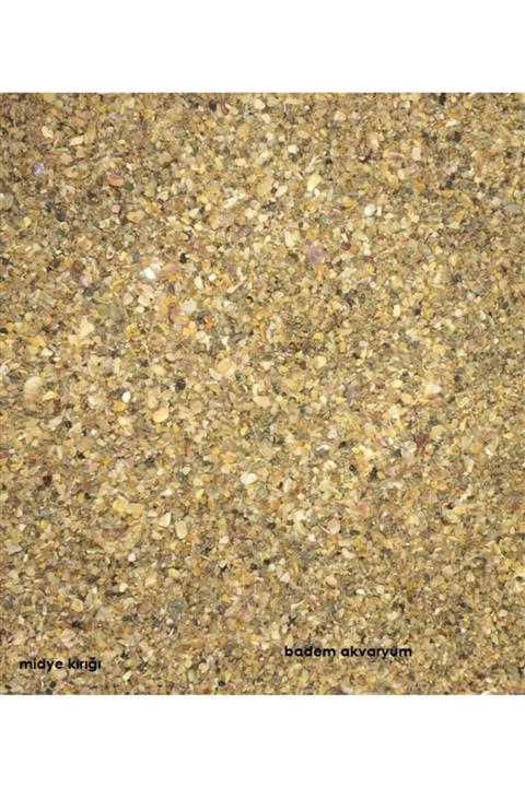 Badem Akvaryum Akvaryum Midye Kırığı Kumu 10 Kg Doğal Midye Kırığı Kumu