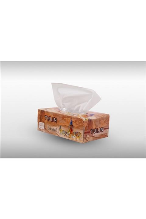 TULIN Kutu Mendil 100'lu 10 Paket
