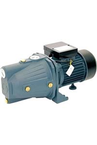 Rainpump Sgjw110 Santrifuj Pompa