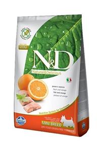 N&D Pumpkin Tahılsız Bal Kabaklı Balikli Portakalli Mini Irk Yetişkin Köpek Maması - 2.5 kg