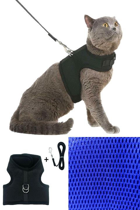 Carneil Bluetick Mavi Air Kedi Ve Cins Köpek Tasması Yy06