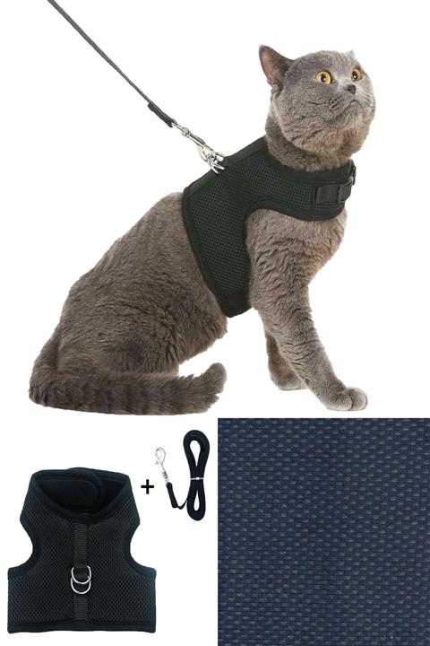 Carneil Bluetick Koyu Lacivert Air Kedi Ve Cins Köpek Tasması Yy04